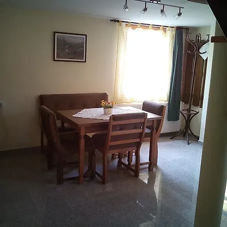 Agávé * Sárvár