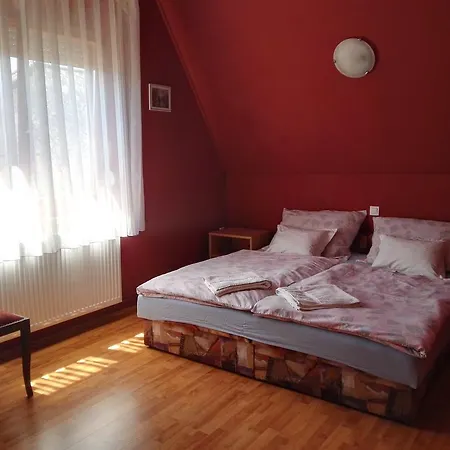 Agávé Sárvár