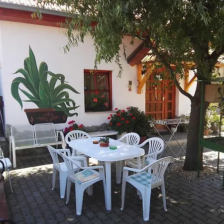 Agave * Sarvar