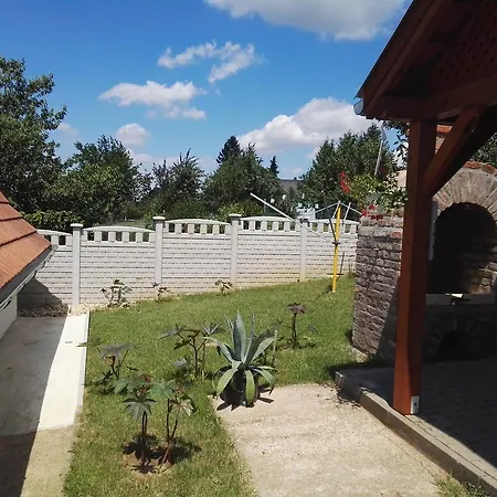Agave Sarvar